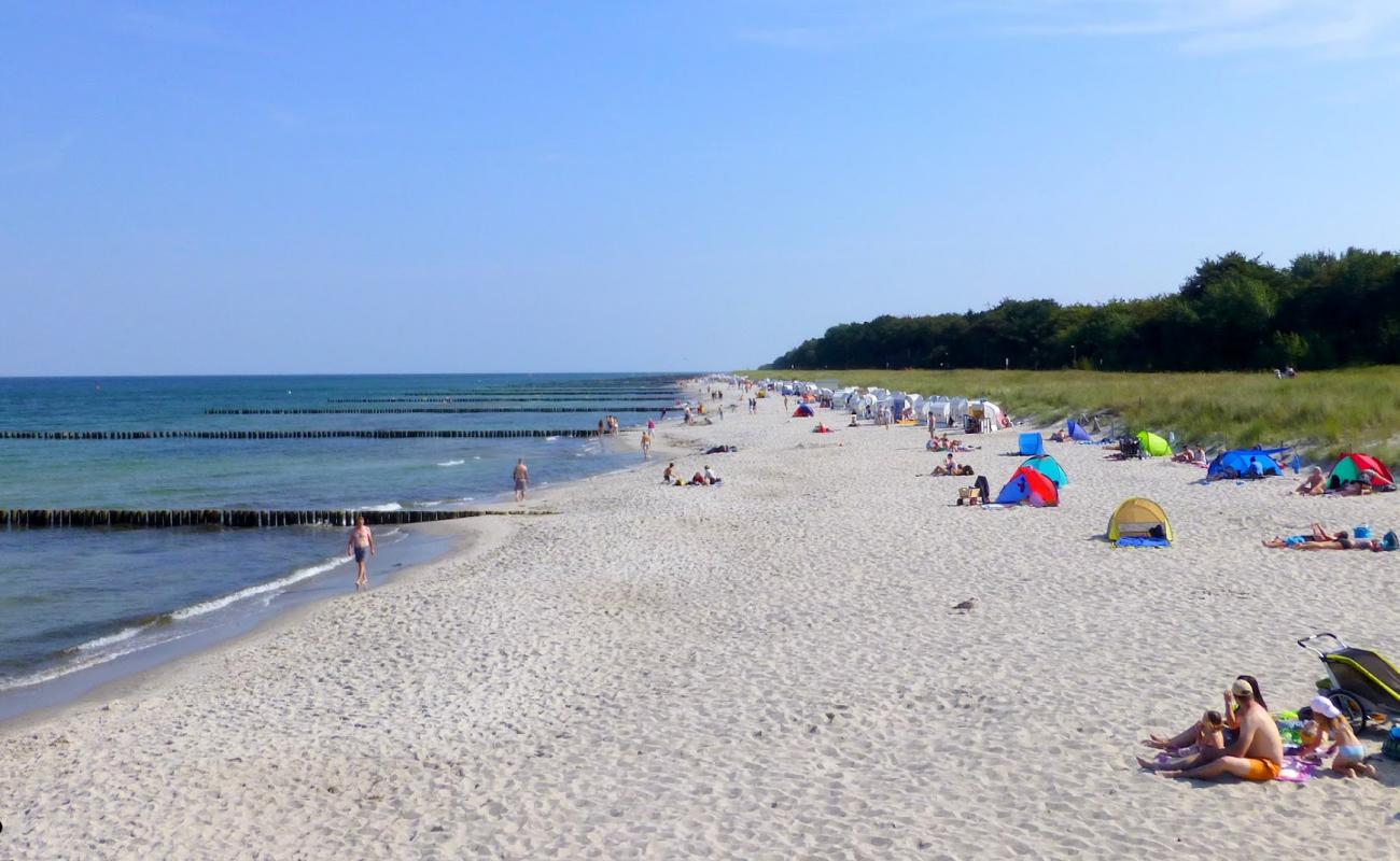 Sandstrand Zingst'in fotoğrafı açık bej kum yüzey ile