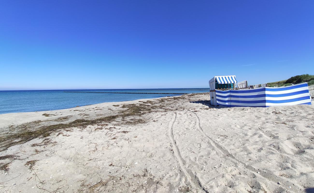 Strand Hiddensee'in fotoğrafı parlak kum yüzey ile