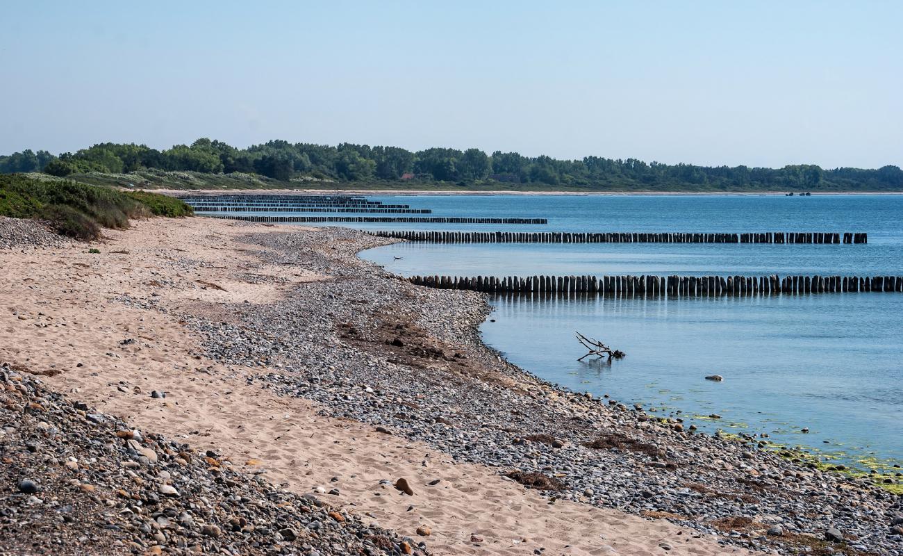 Dranske strand'in fotoğrafı parlak kum ve kayalar yüzey ile