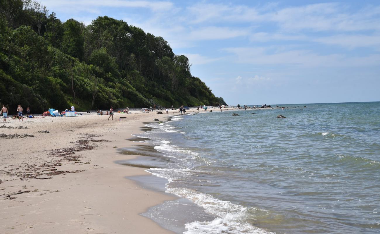 Der Bakenberg mit Ostseestrand'in fotoğrafı açık bej kum yüzey ile