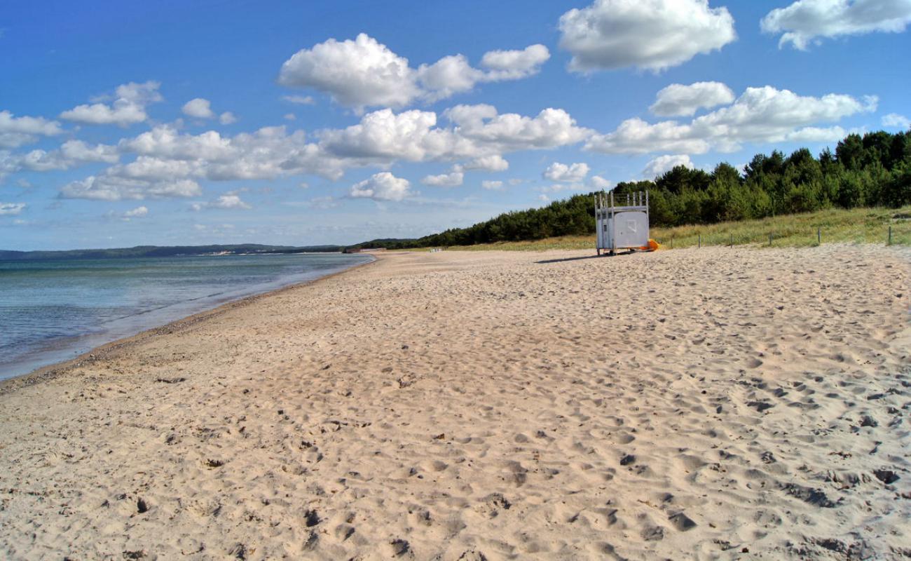 Strandpanorama Prora'in fotoğrafı gri kum yüzey ile