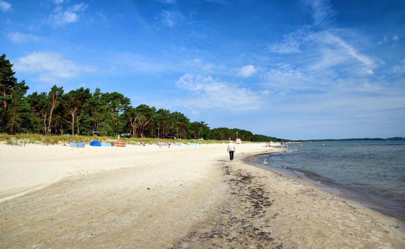 Prora Plajı'in fotoğrafı parlak kum yüzey ile