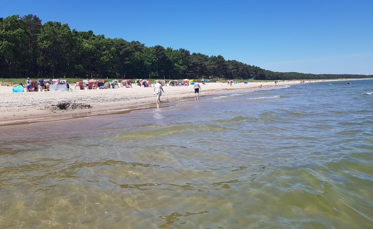 Strandkorbvermietung'in fotoğrafı parlak kum yüzey ile