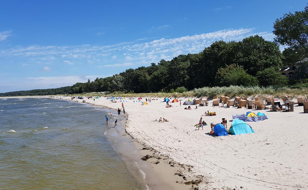 Lubmin Strand'in fotoğrafı açık bej kum yüzey ile