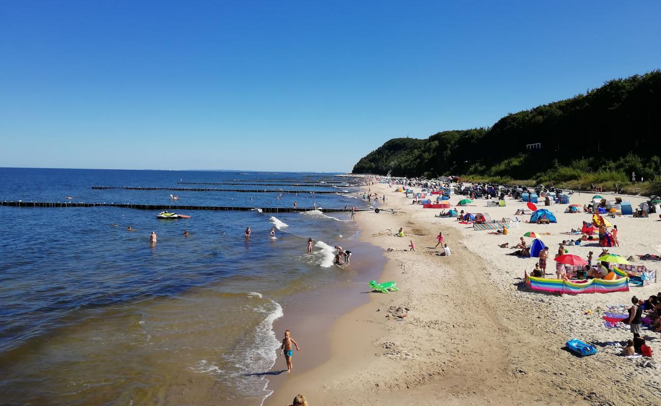 Koserow Strand'in fotoğrafı açık bej kum yüzey ile