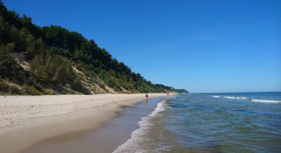 Strand Kolpinsee