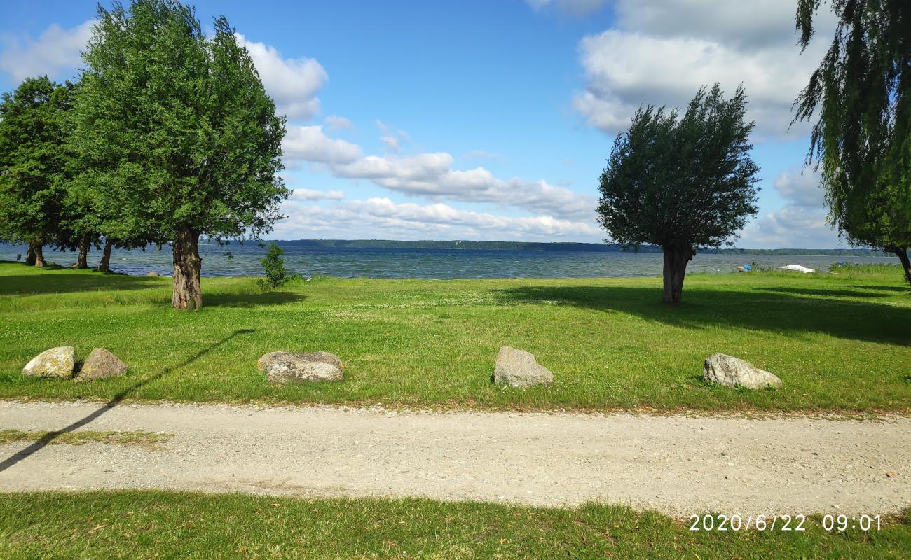 Naturcamping Retgendorf Strand'in fotoğrafı çim yüzey ile