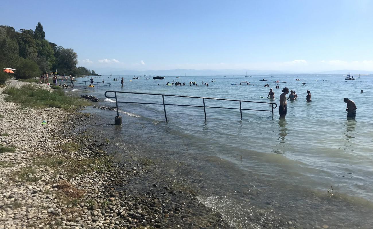 Strandbad Hagnau'in fotoğrafı çim yüzey ile