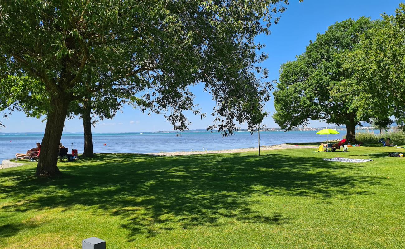 Strandbad Eriskirch'in fotoğrafı çim yüzey ile