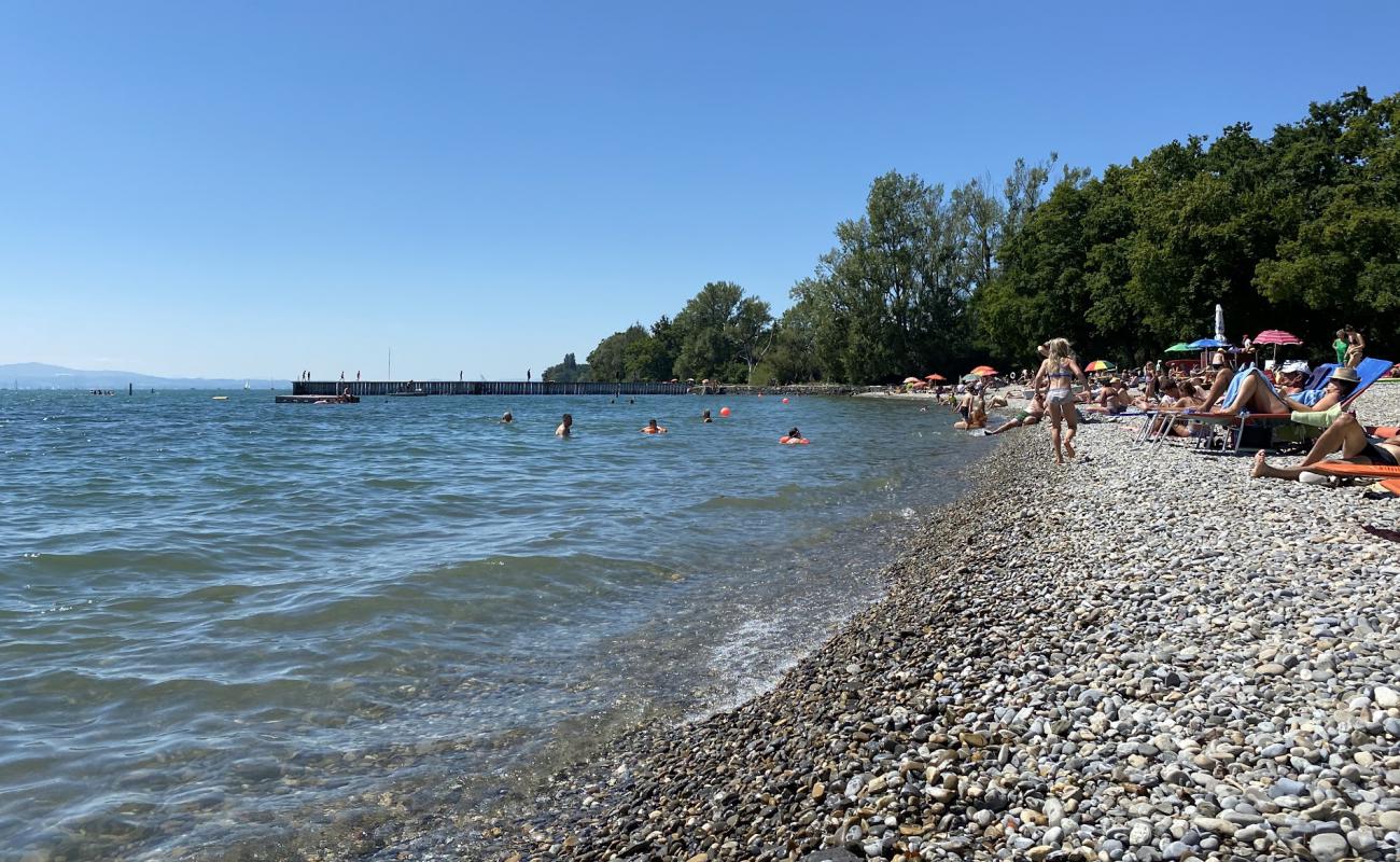 Naturstrandbad Kressbronn am Bodensee'in fotoğrafı gri çakıl taşı yüzey ile