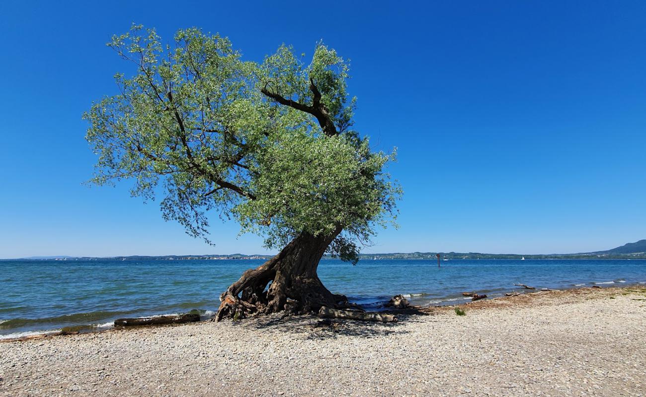 Strand auf der Halbinsel am Wocherhafen'in fotoğrafı gri çakıl taşı yüzey ile