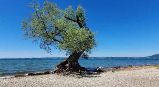 Strand auf der Halbinsel am Wocherhafen