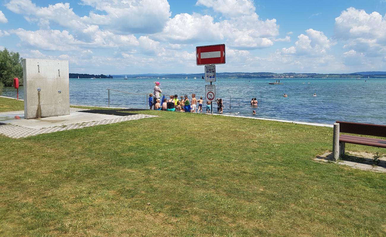 Freibad Roosli Beach'in fotoğrafı çim yüzey ile