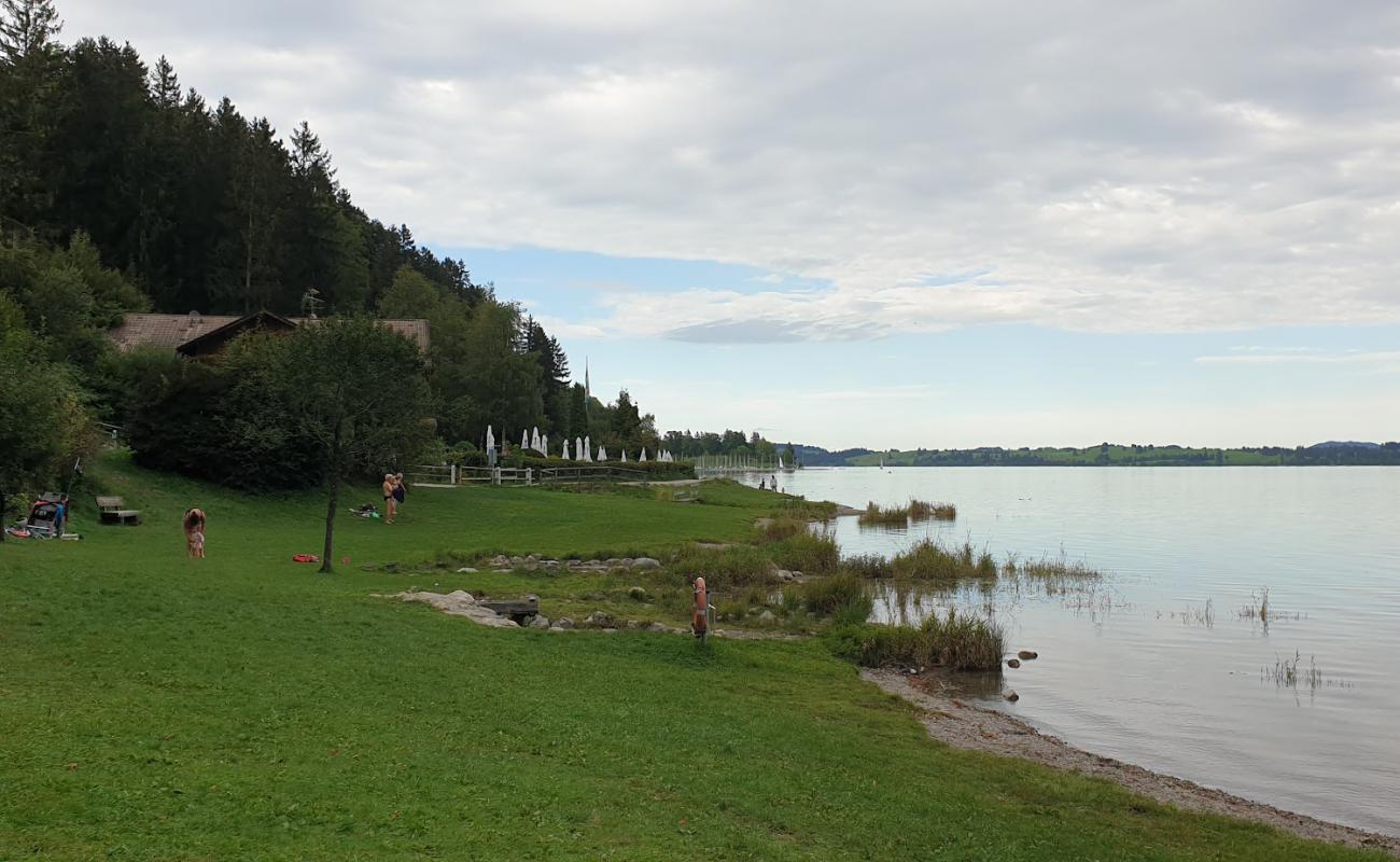 Familienbad Forggensee'in fotoğrafı çim yüzey ile