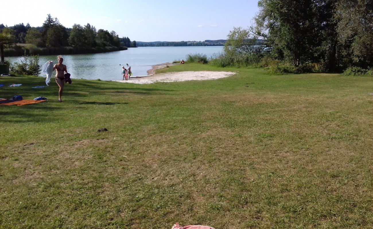 Hundestrand Salzachinsel'in fotoğrafı çim yüzey ile