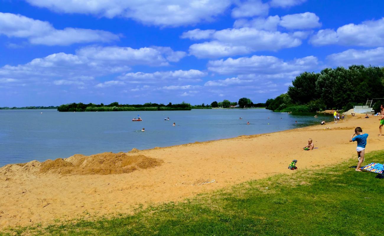 Schlungenhof Altmuhlsee strand'in fotoğrafı parlak kum yüzey ile