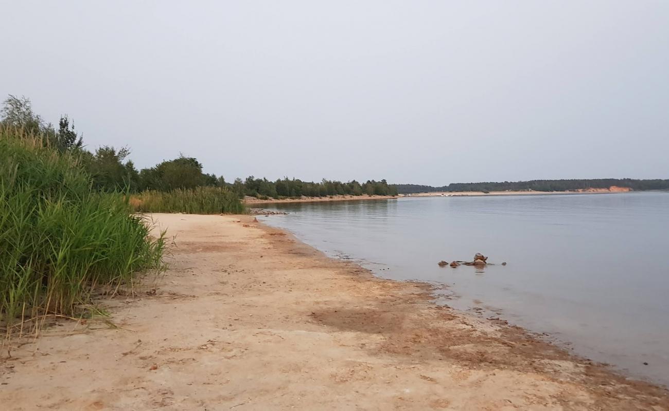 Hundestrand Barwalder See'in fotoğrafı açık bej kum yüzey ile