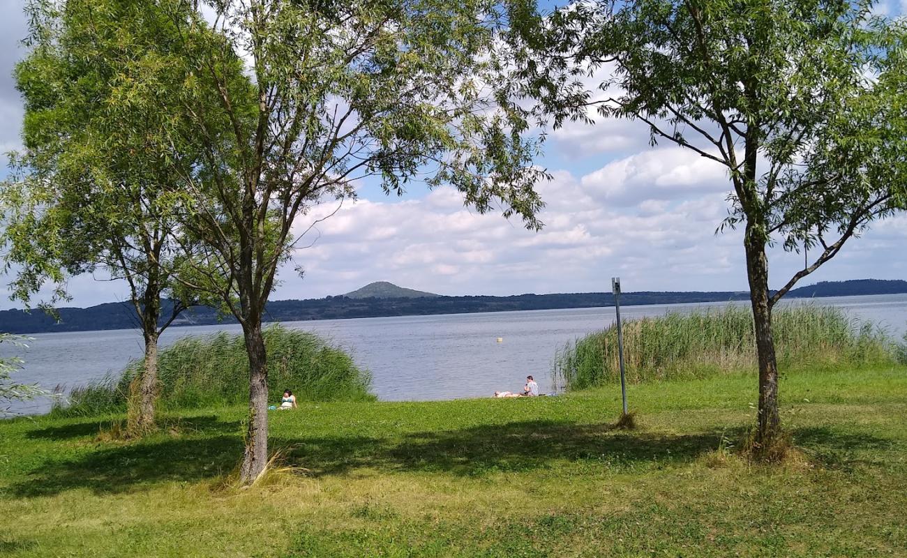 Badewiese Halbinsel Beach'in fotoğrafı çim yüzey ile