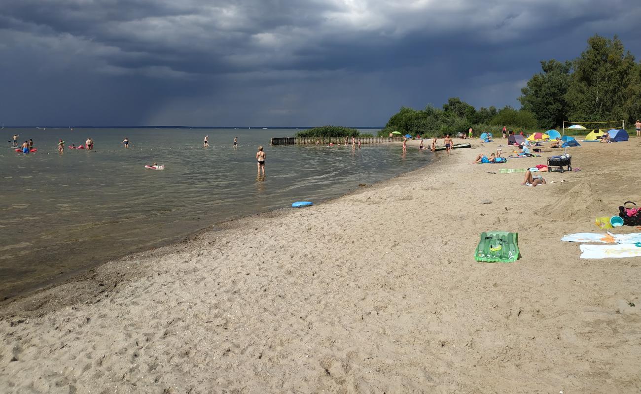 Muritz Sandstrand'in fotoğrafı parlak kum yüzey ile