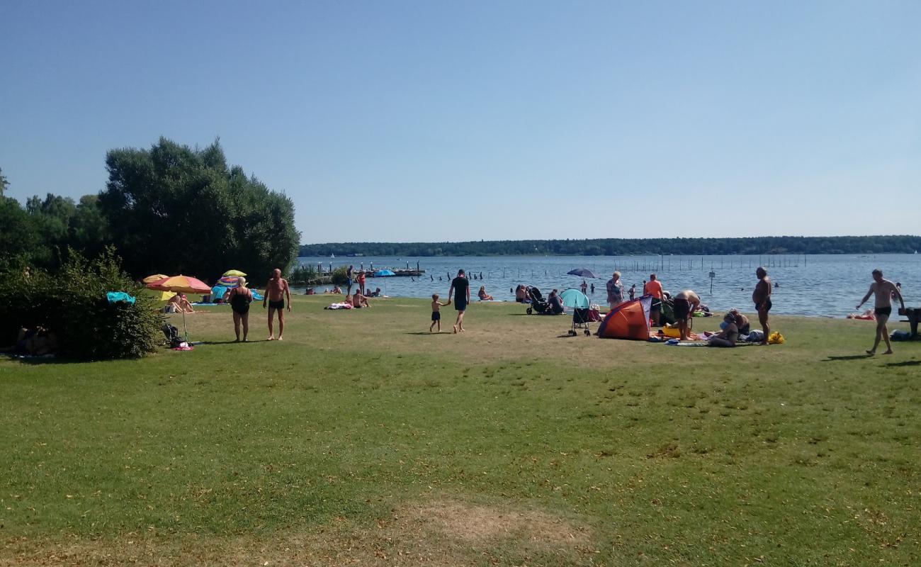 Volksbad Beach'in fotoğrafı çim yüzey ile