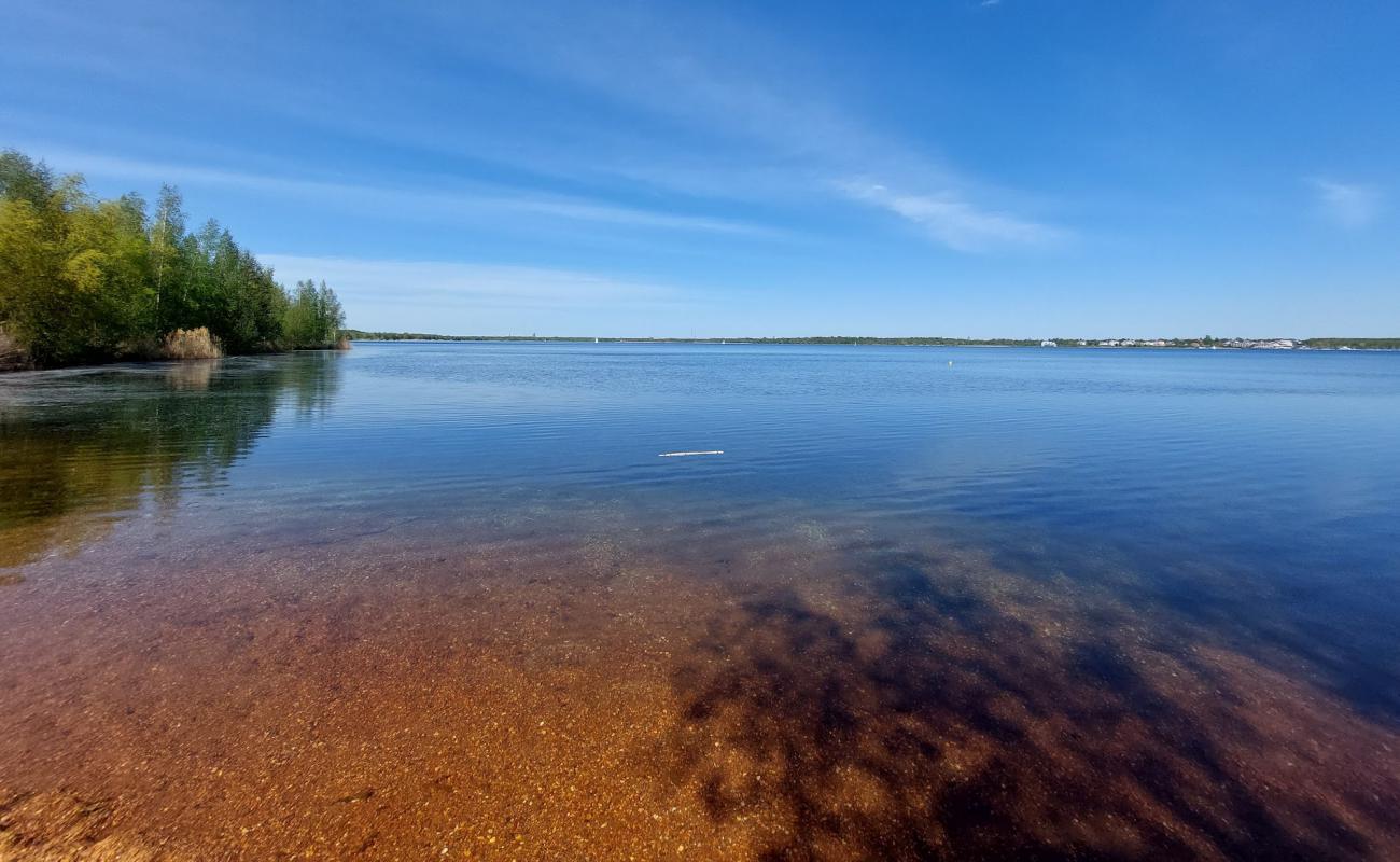 Weststrand FKK'in fotoğrafı çim yüzey ile