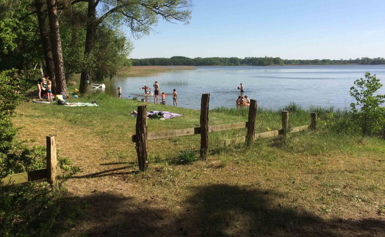 Feriendorf Dobbiner Strand'in fotoğrafı çim yüzey ile