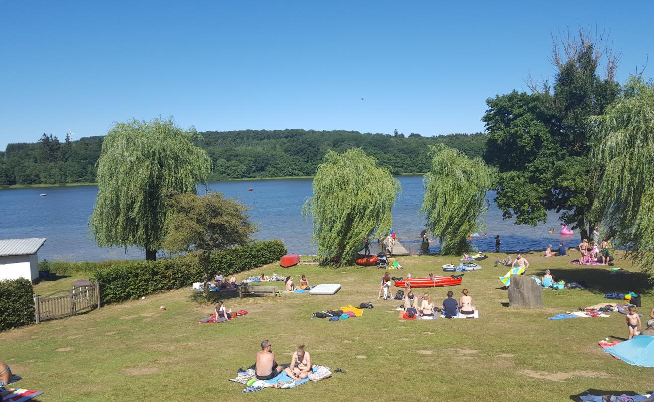 Wied Beach'in fotoğrafı çim yüzey ile