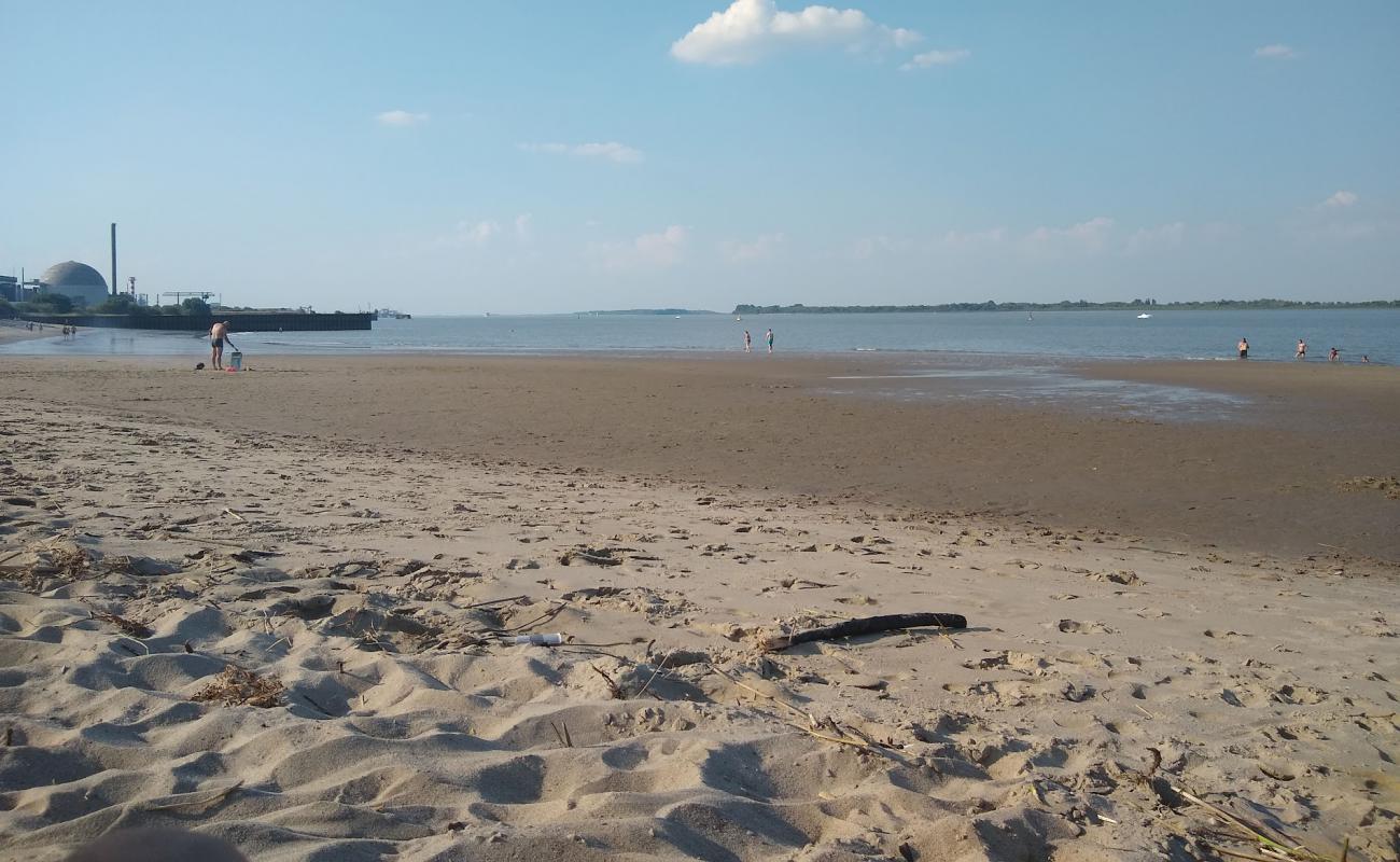 Bassenfleth Beach'in fotoğrafı açık bej kum yüzey ile