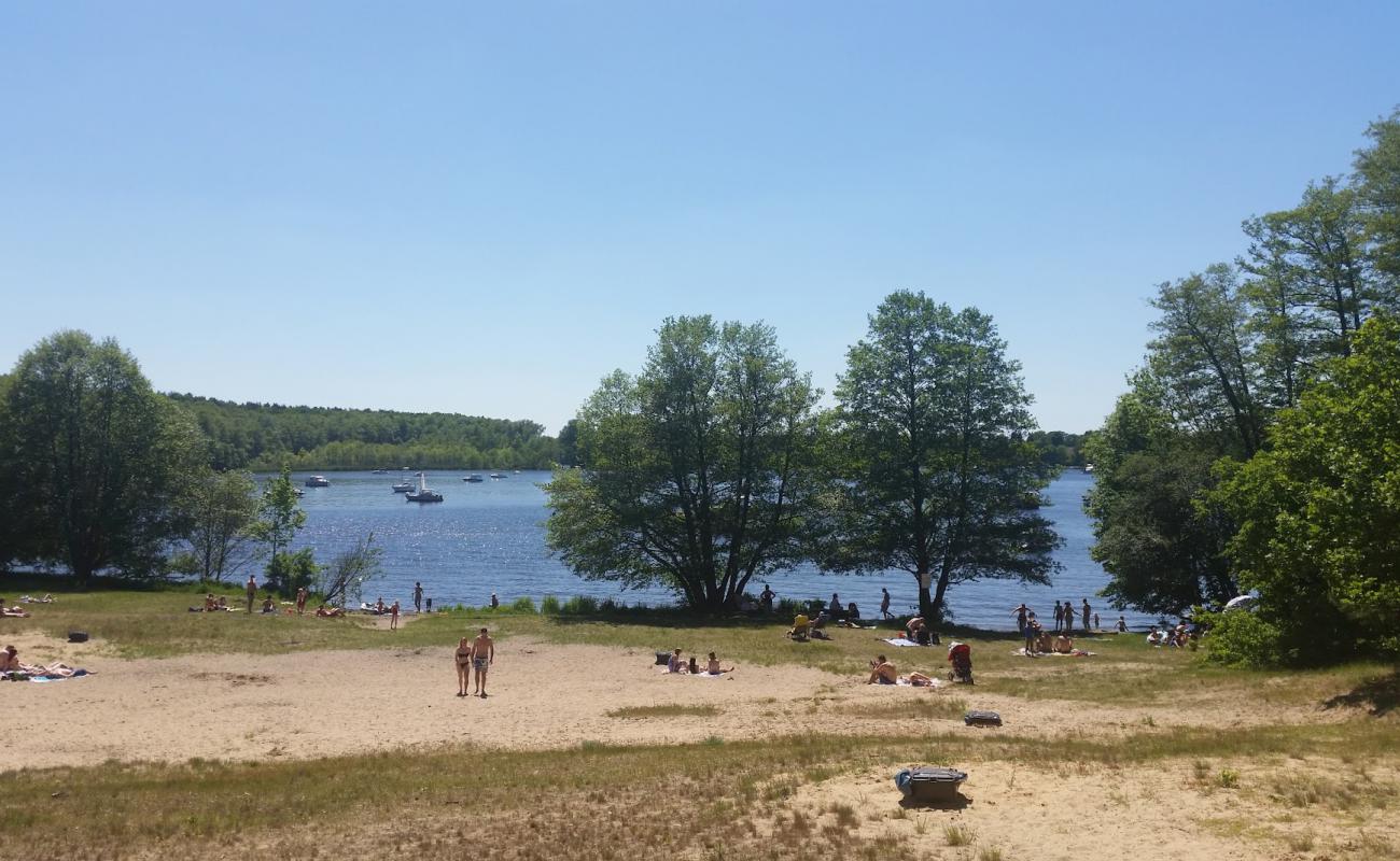 Weisser Strand Flakensee'in fotoğrafı açık bej kum yüzey ile