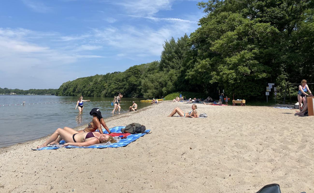 Badestelle Prinzeninsel'in fotoğrafı parlak kum yüzey ile