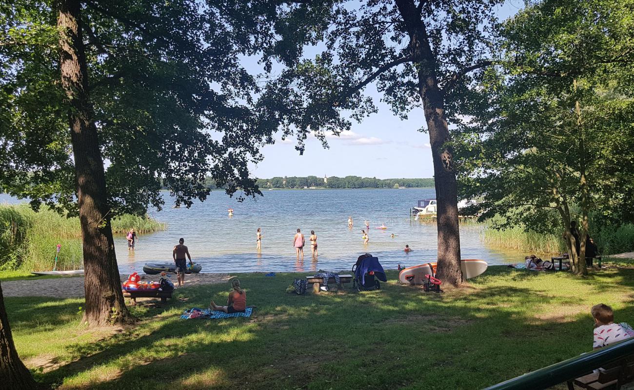 Reichenwalde Strand'in fotoğrafı çim yüzey ile