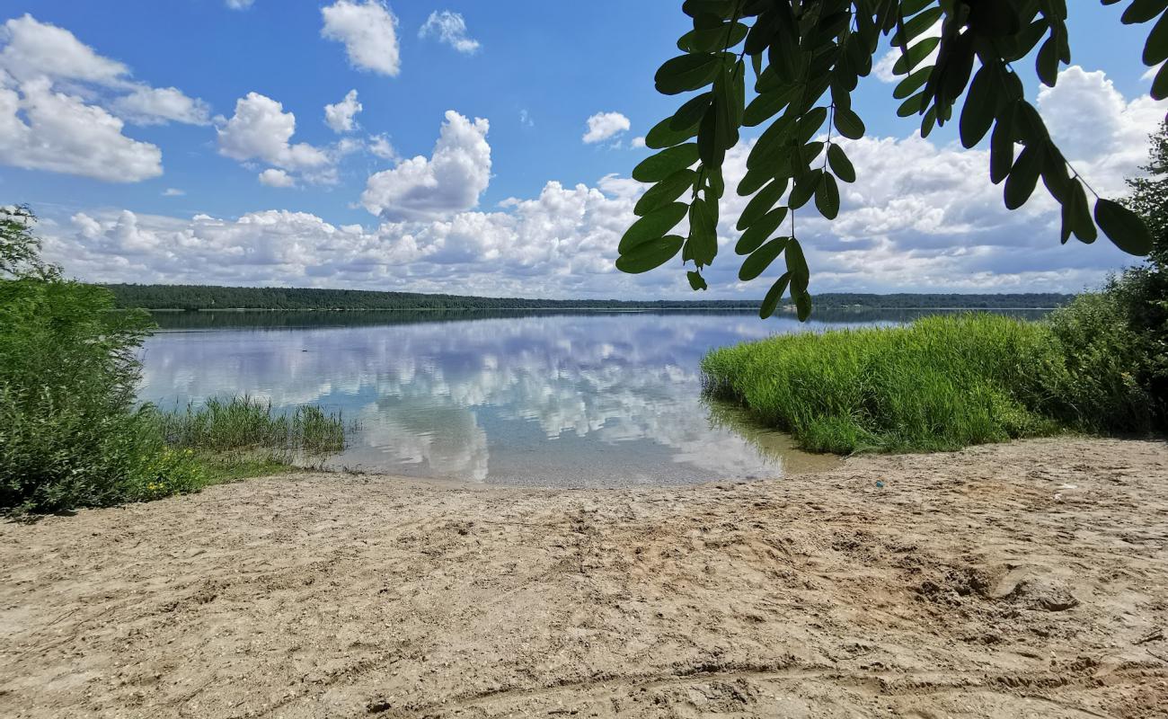 Hasselbacher See Strand'in fotoğrafı açık bej kum yüzey ile