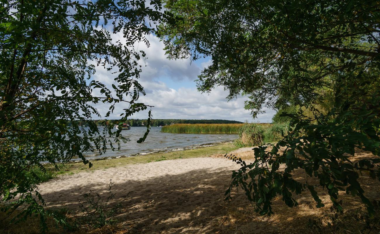 FKK Strand am "Pennerstrand"'in fotoğrafı parlak kum yüzey ile