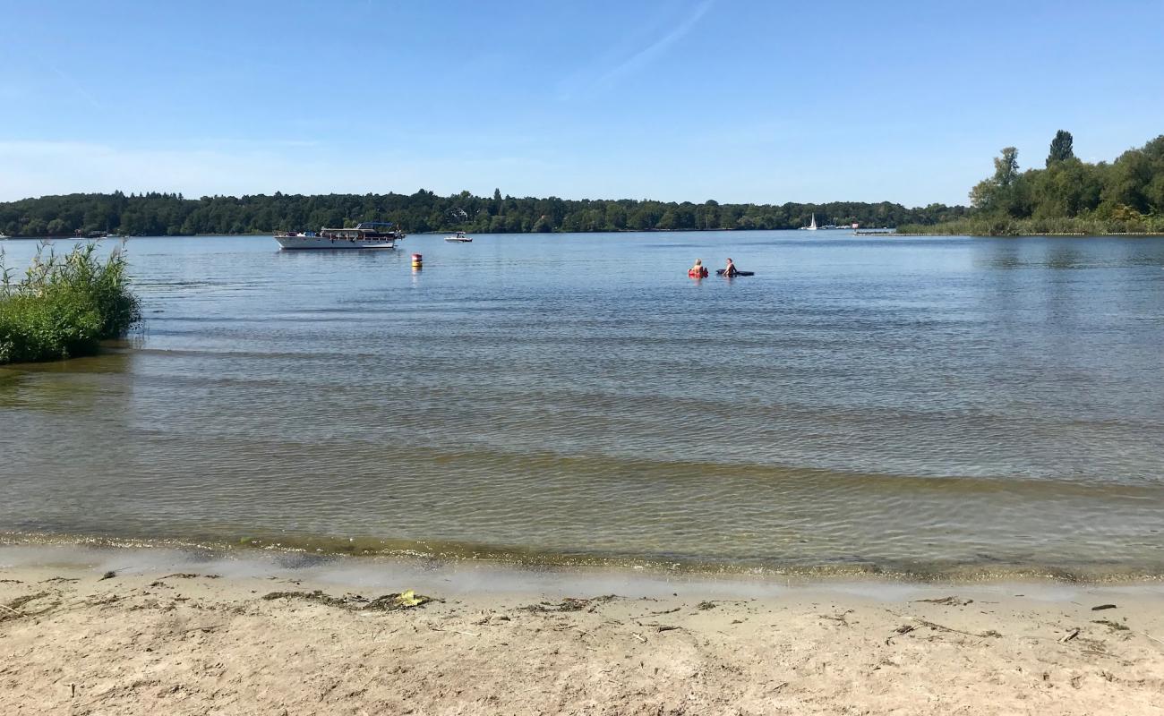 Badestelle Lieper Bucht'in fotoğrafı parlak kum yüzey ile