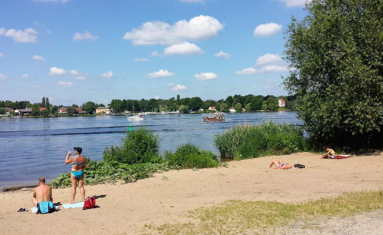 Badestelle Kuhhorn Strand'in fotoğrafı parlak kum yüzey ile