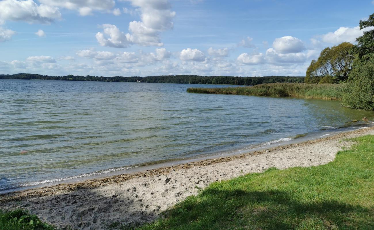 Hamburger Strand'in fotoğrafı çim yüzey ile