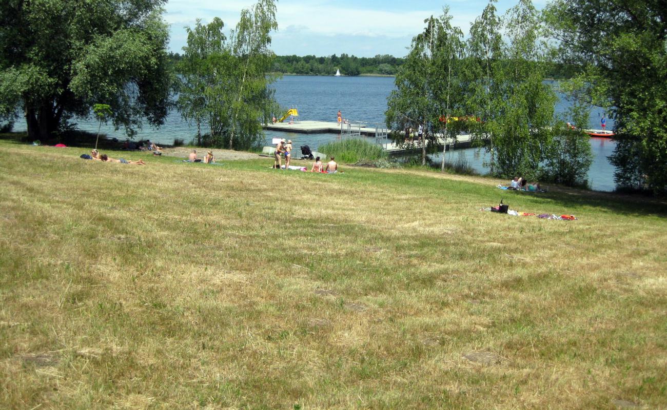 Markranstadt Strandbad'in fotoğrafı çim yüzey ile