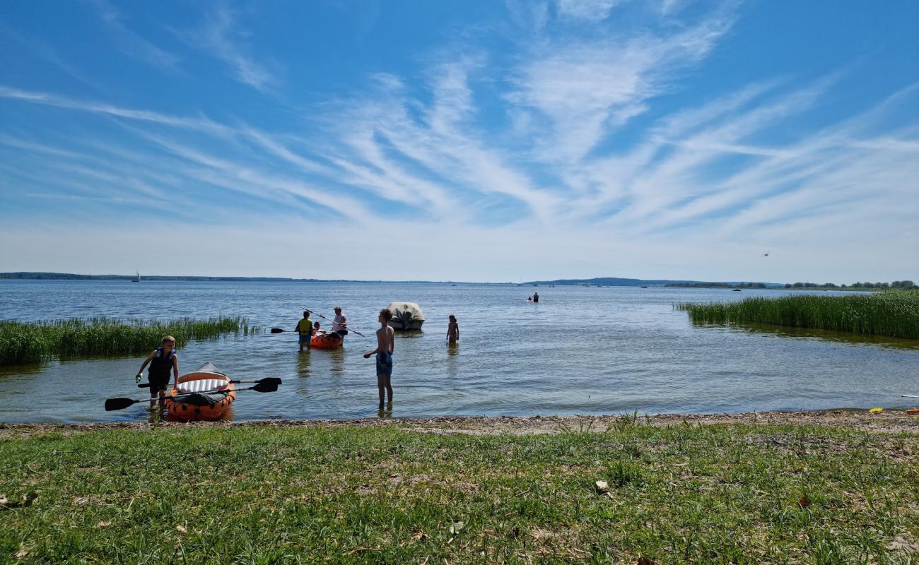 Hundebadestrand'in fotoğrafı çim yüzey ile