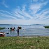 Hundebadestrand