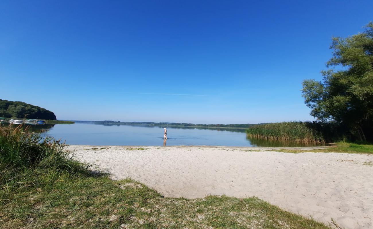 Hundestrand Dahmen'in fotoğrafı açık bej kum yüzey ile