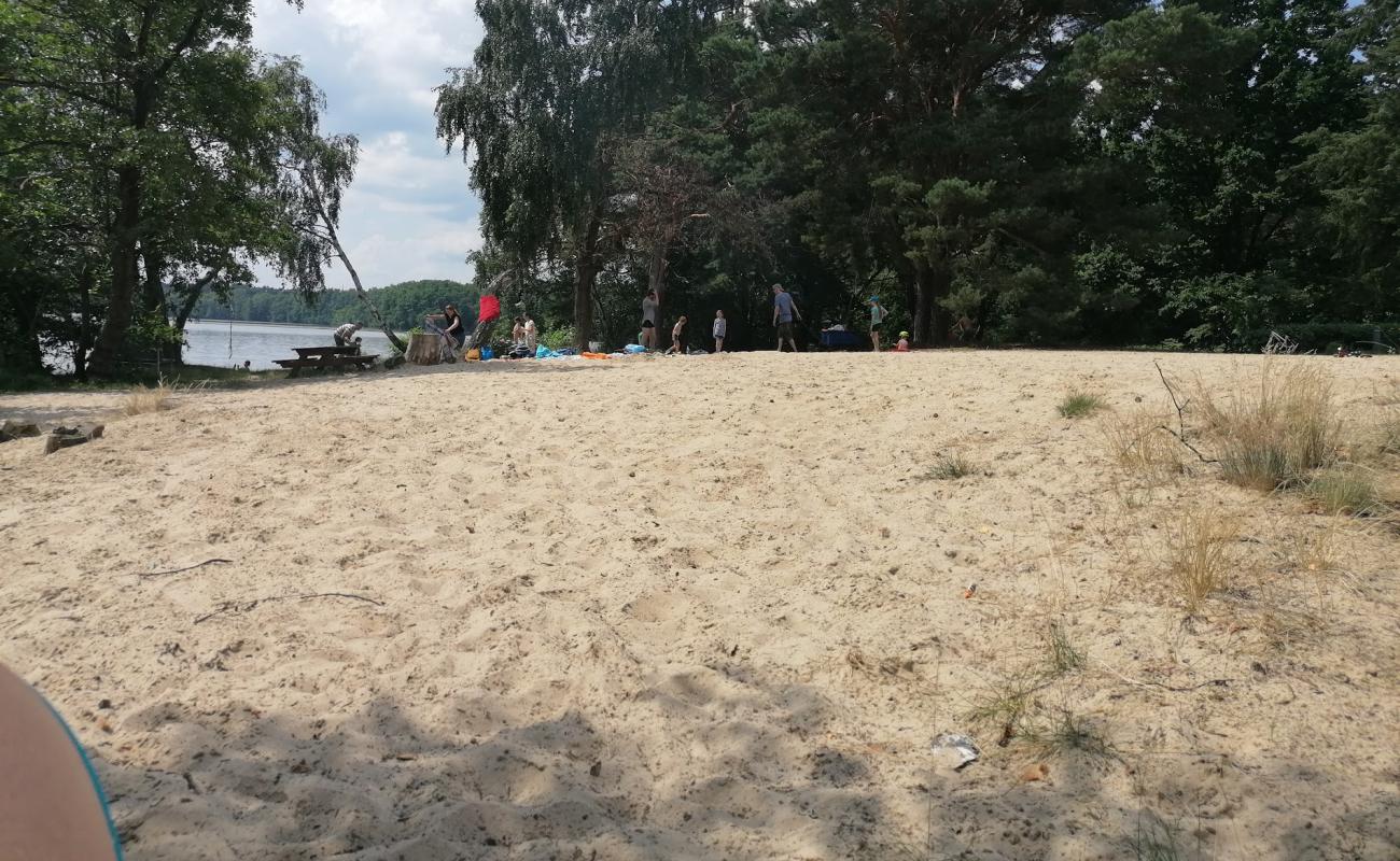 Badestrand Patzer Hintersee'in fotoğrafı çim yüzey ile