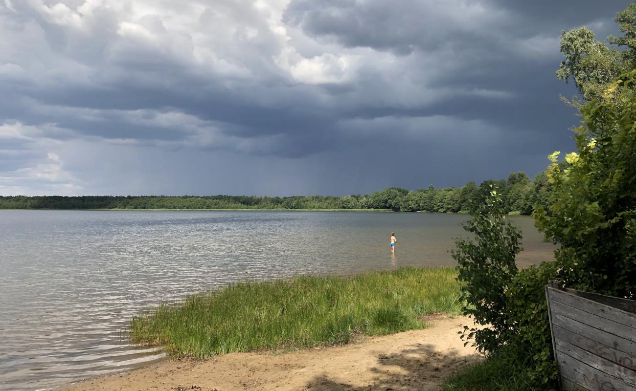 Badestrand Patzer Vordersee'in fotoğrafı açık bej kum yüzey ile