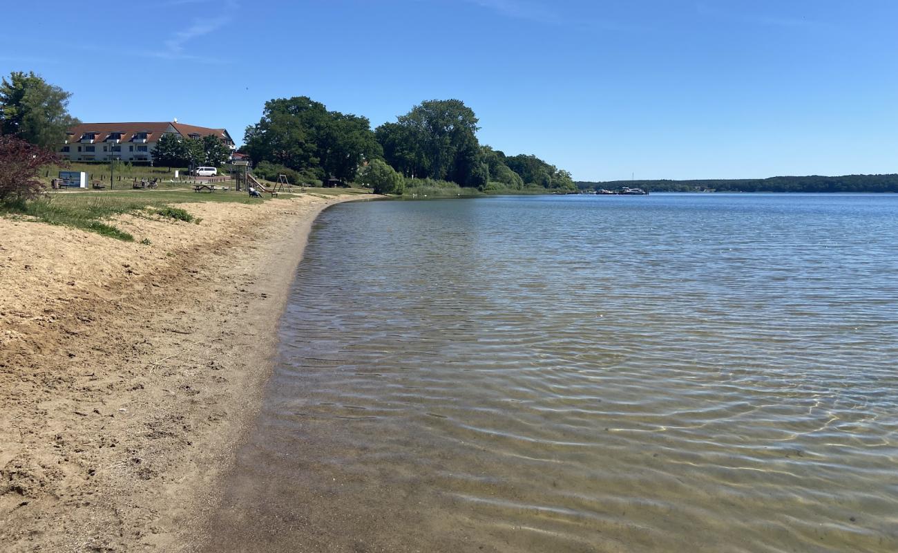 Seelust Hundestrand'in fotoğrafı çim yüzey ile