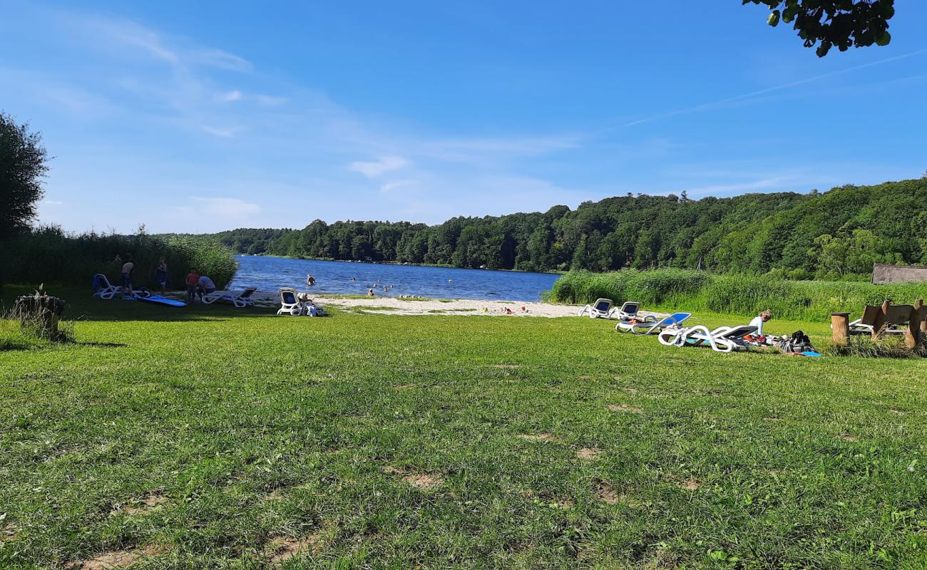 Badestelle Strand'in fotoğrafı çim yüzey ile