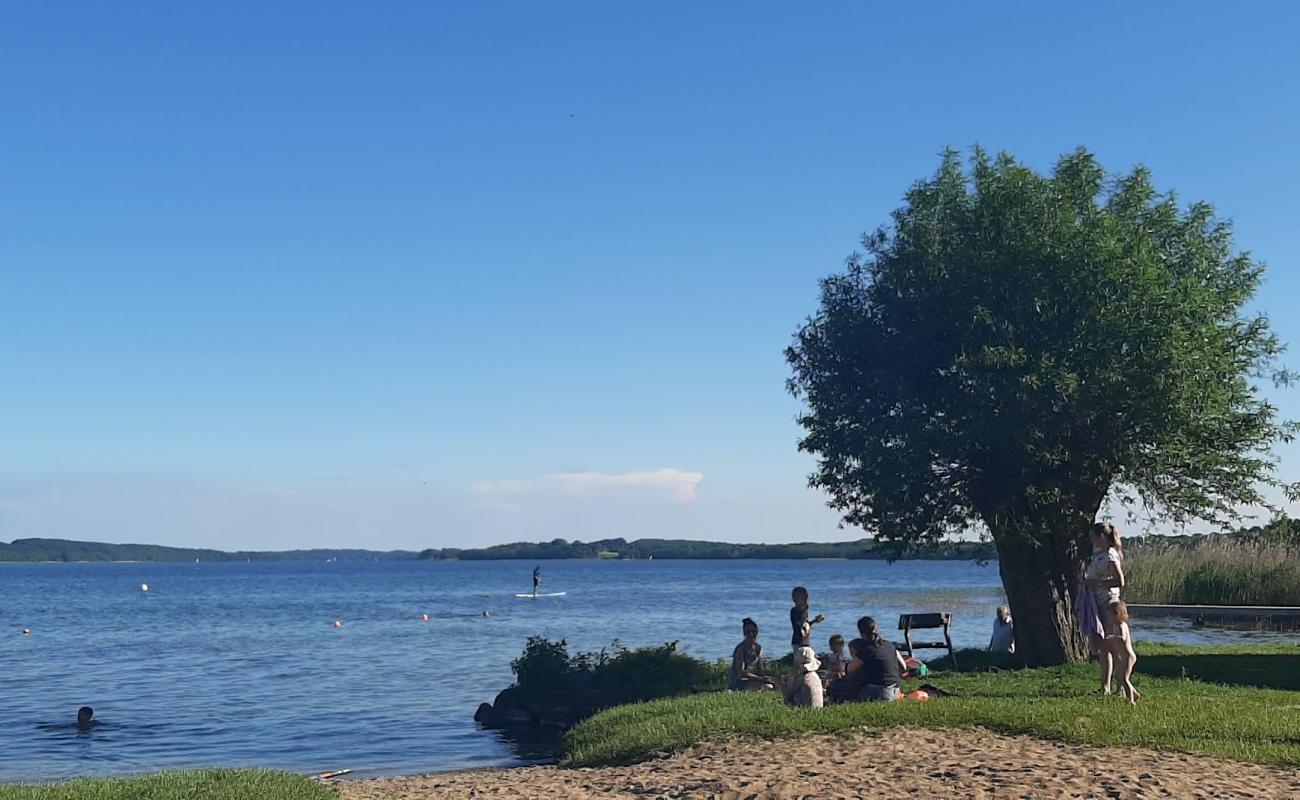 Badestelle Gross Sarau'in fotoğrafı çim yüzey ile