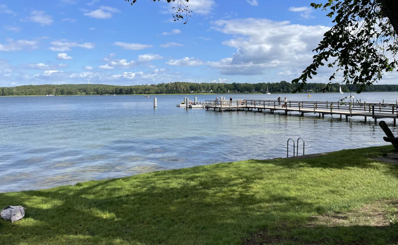 Hundestrand Wendisch Rietz'in fotoğrafı çim yüzey ile