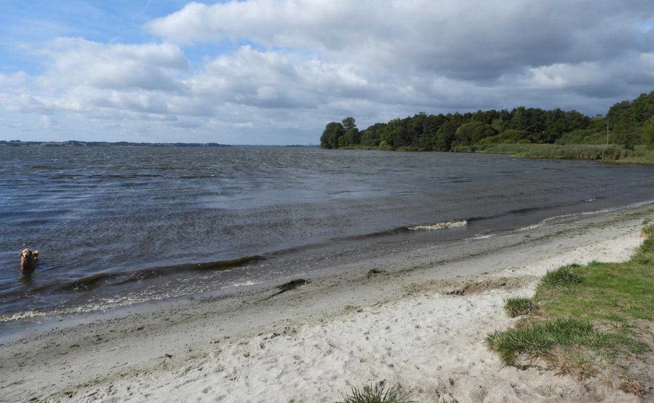 Hundestrand Klein Westerland'in fotoğrafı çim yüzey ile