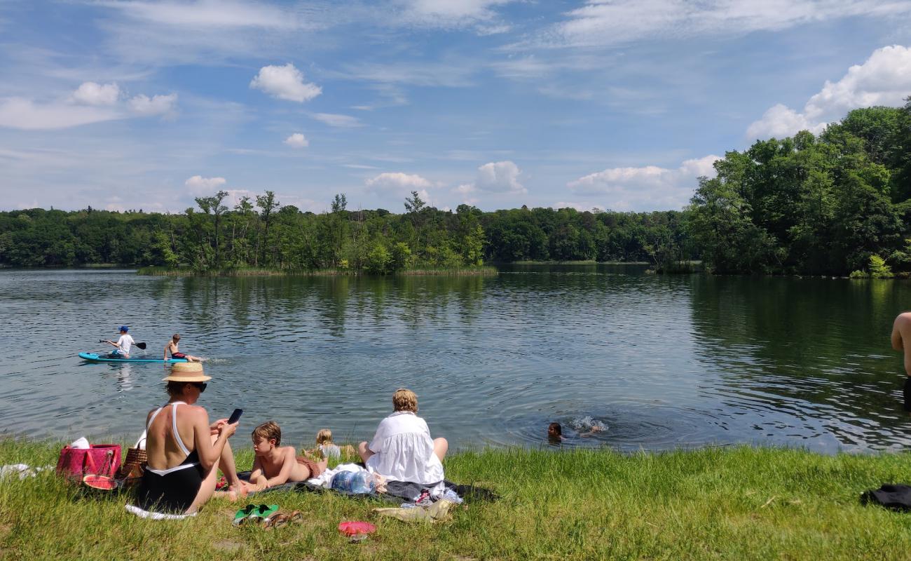 Badestrand Falkenhagen'in fotoğrafı çim yüzey ile
