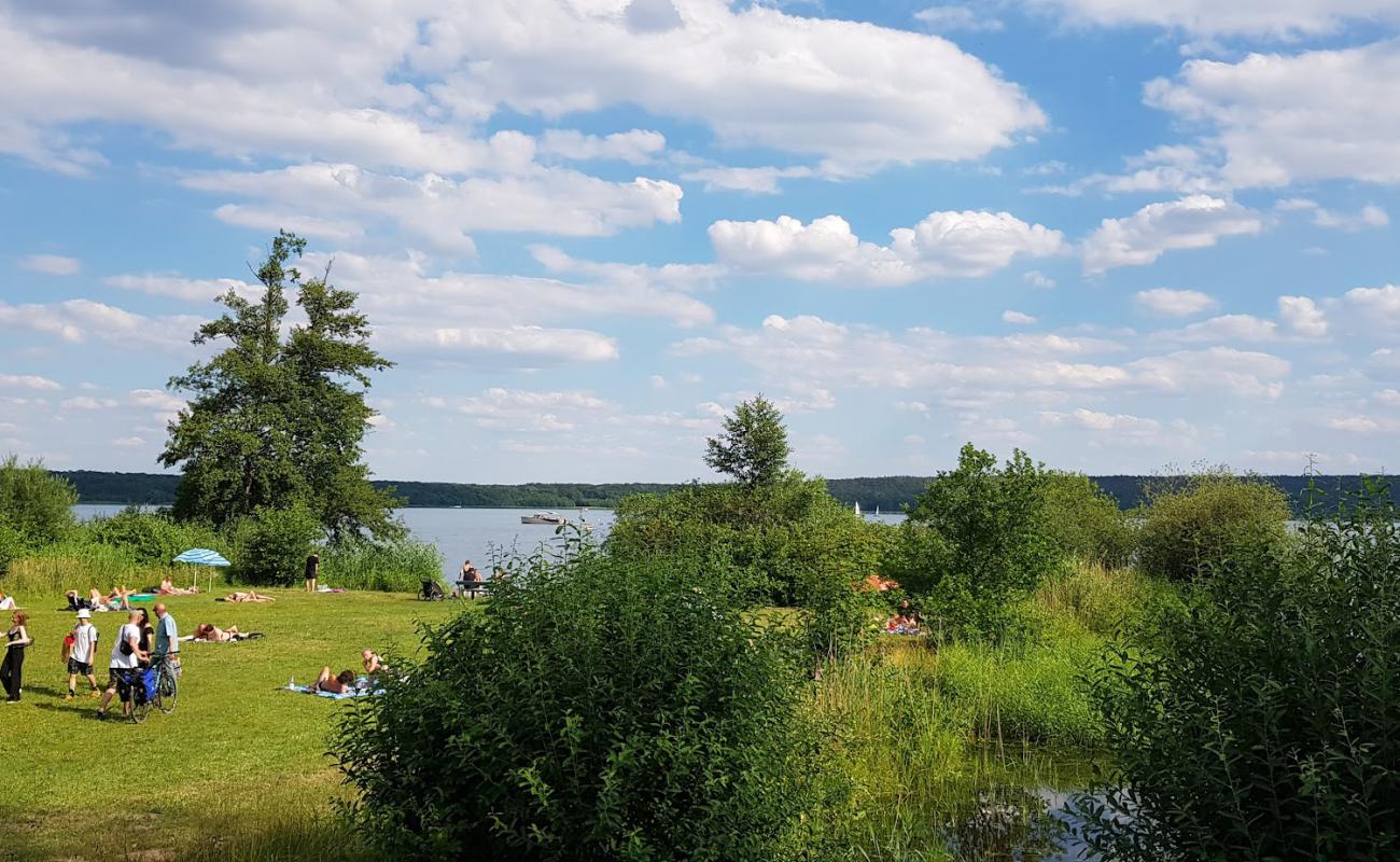 Badestelle Petzow'in fotoğrafı çim yüzey ile