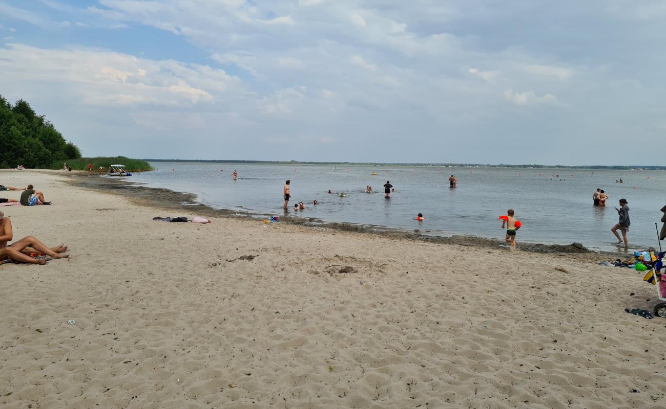Badestrand Steinhuder Meer Nordufer'in fotoğrafı açık bej kum yüzey ile